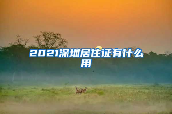 2021深圳居住证有什么用