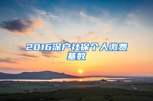 2016深户社保个人缴费基数