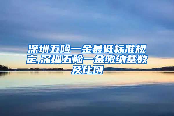 深圳五险一金最低标准规定,深圳五险一金缴纳基数及比例