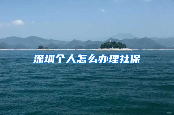 深圳个人怎么办理社保