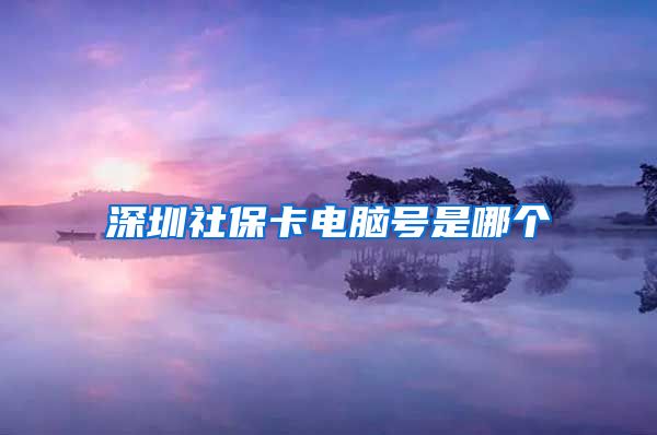 深圳社保卡电脑号是哪个