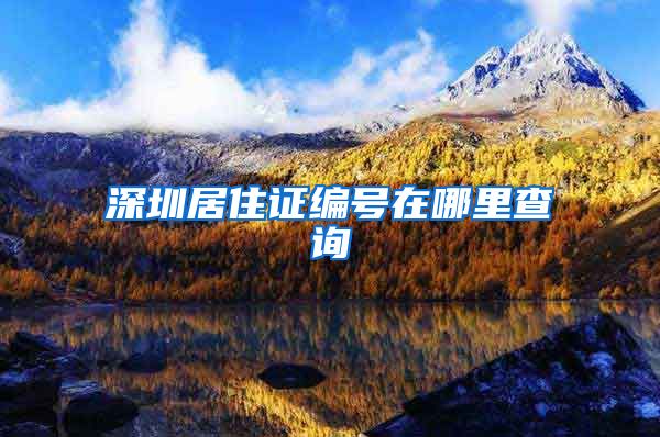深圳居住证编号在哪里查询