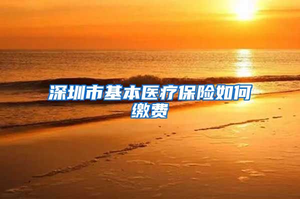 深圳市基本医疗保险如何缴费