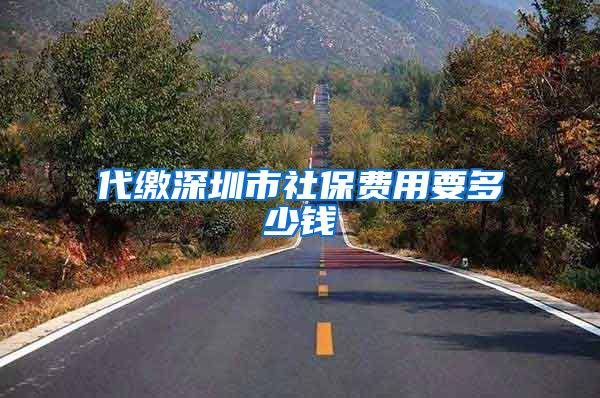 代缴深圳市社保费用要多少钱