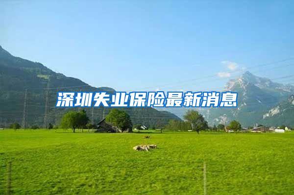 深圳失业保险最新消息