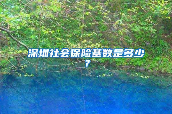 深圳社会保险基数是多少？