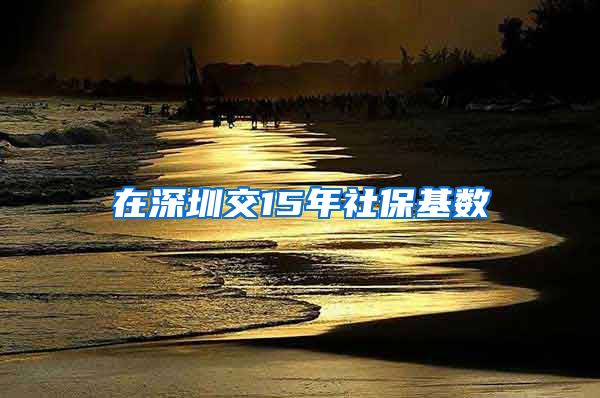 在深圳交15年社保基数