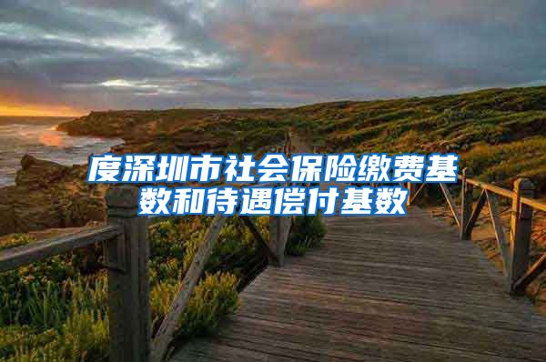 度深圳市社会保险缴费基数和待遇偿付基数