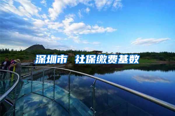 深圳市 社保缴费基数