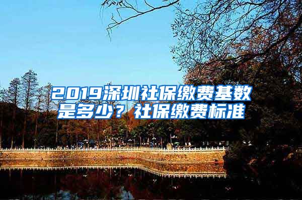 2019深圳社保缴费基数是多少？社保缴费标准