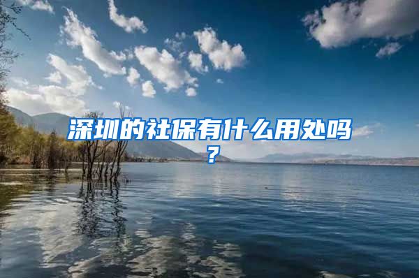 深圳的社保有什么用处吗？