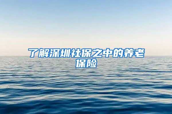 了解深圳社保之中的养老保险