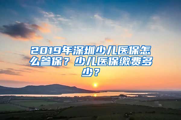 2019年深圳少儿医保怎么参保？少儿医保缴费多少？
