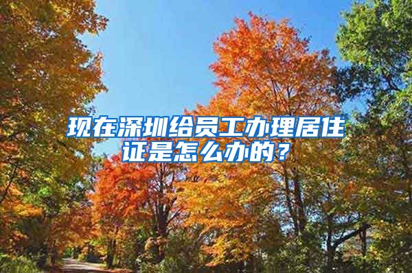 现在深圳给员工办理居住证是怎么办的？