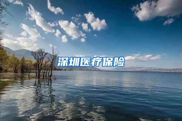 深圳医疗保险