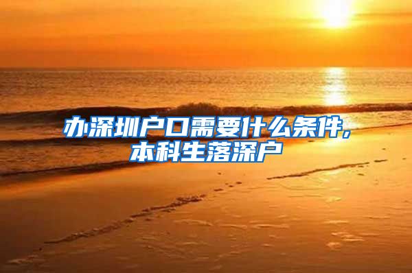 办深圳户口需要什么条件,本科生落深户