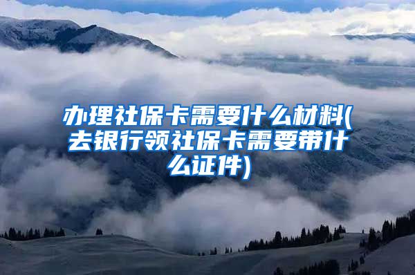 办理社保卡需要什么材料(去银行领社保卡需要带什么证件)