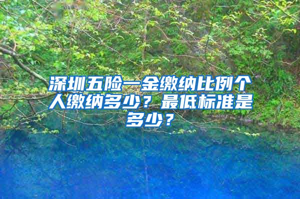 深圳五险一金缴纳比例个人缴纳多少？最低标准是多少？