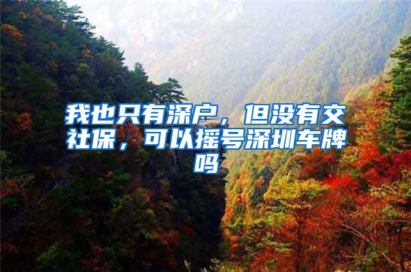 我也只有深户，但没有交社保，可以摇号深圳车牌吗