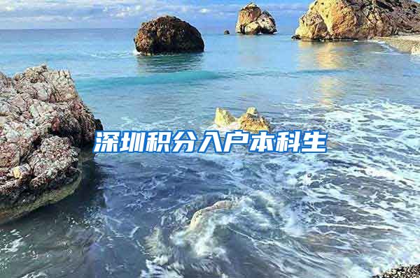 深圳积分入户本科生