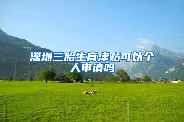 深圳三胎生育津贴可以个人申请吗