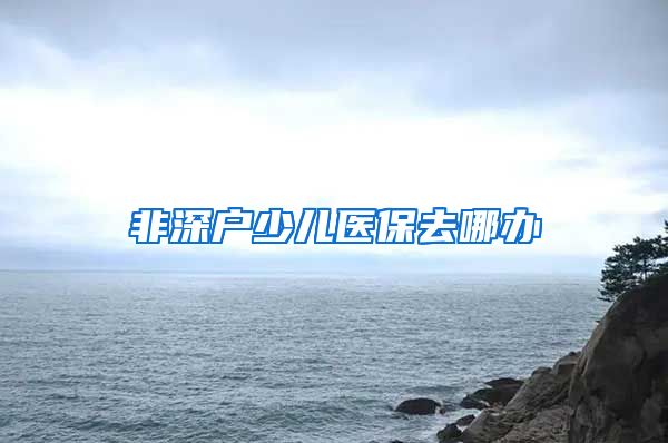 非深户少儿医保去哪办