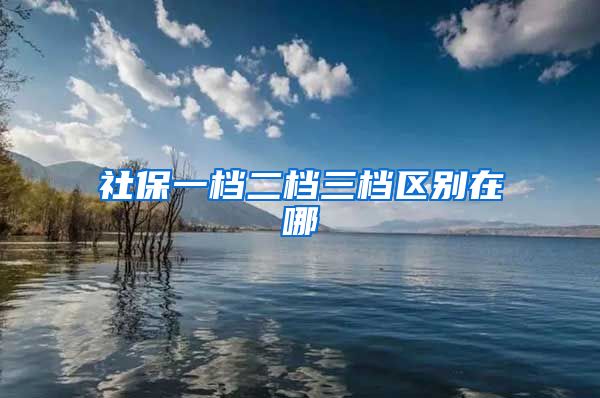 社保一档二档三档区别在哪