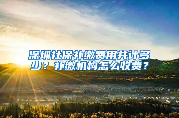 深圳社保补缴费用共计多少？补缴机构怎么收费？