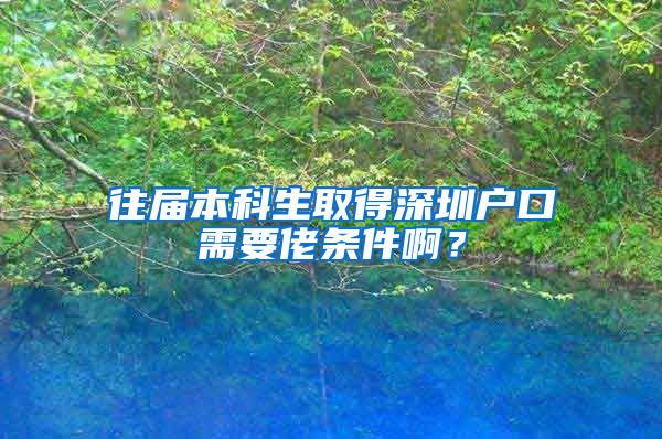 往届本科生取得深圳户口需要佬条件啊？