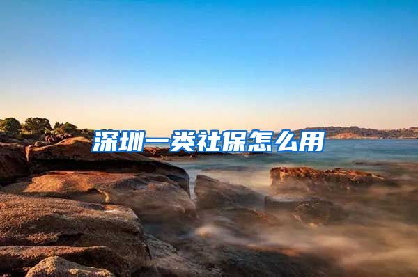 深圳一类社保怎么用