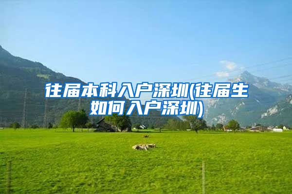 往届本科入户深圳(往届生如何入户深圳)