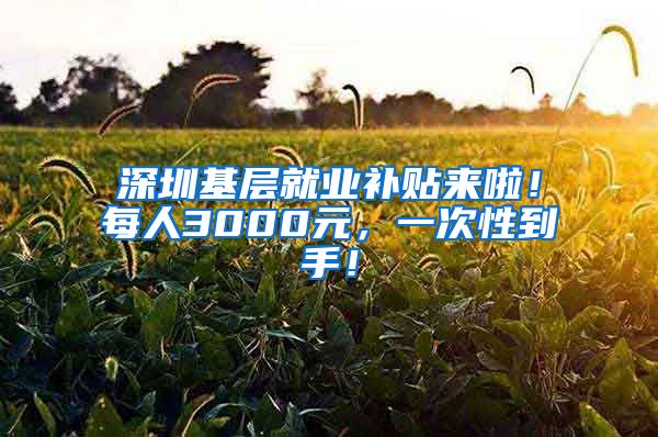 深圳基层就业补贴来啦！每人3000元，一次性到手！