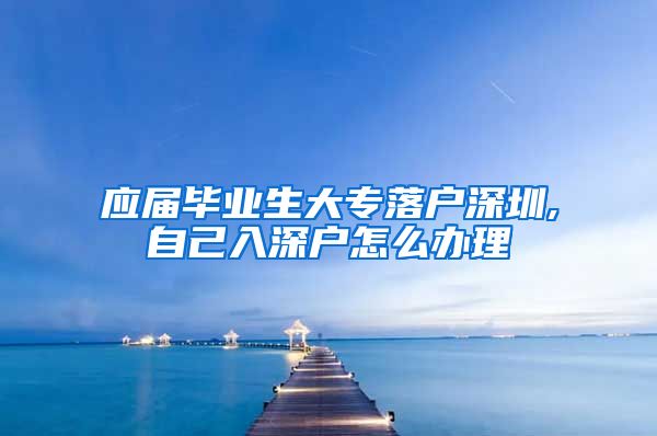 应届毕业生大专落户深圳,自己入深户怎么办理