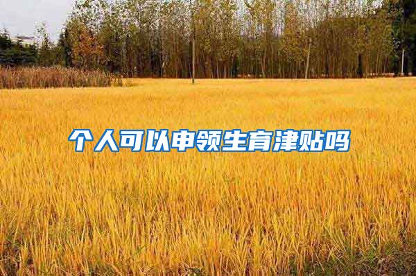 个人可以申领生育津贴吗