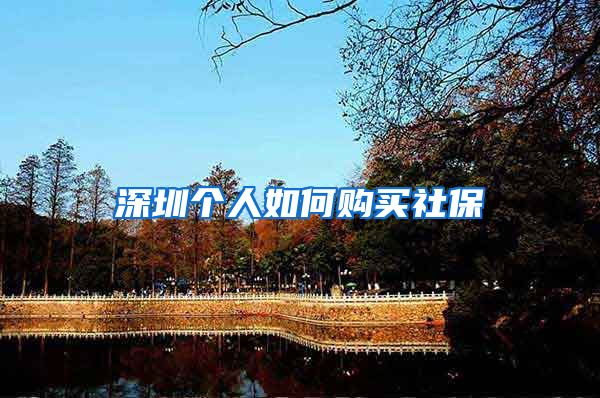 深圳个人如何购买社保