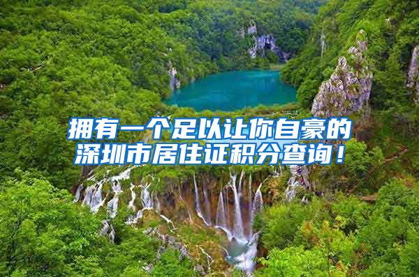 拥有一个足以让你自豪的深圳市居住证积分查询！