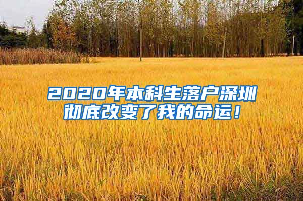 2020年本科生落户深圳彻底改变了我的命运！