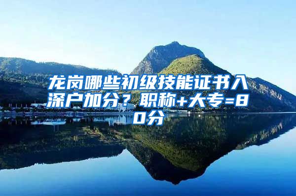 龙岗哪些初级技能证书入深户加分？职称+大专=80分