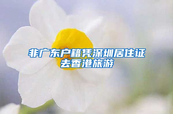 非广东户籍凭深圳居住证去香港旅游