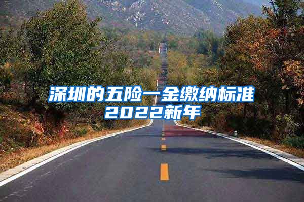 深圳的五险一金缴纳标准2022新年