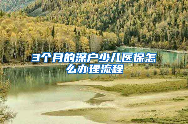 3个月的深户少儿医保怎么办理流程
