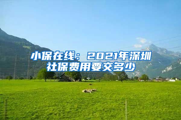 小保在线：2021年深圳社保费用要交多少