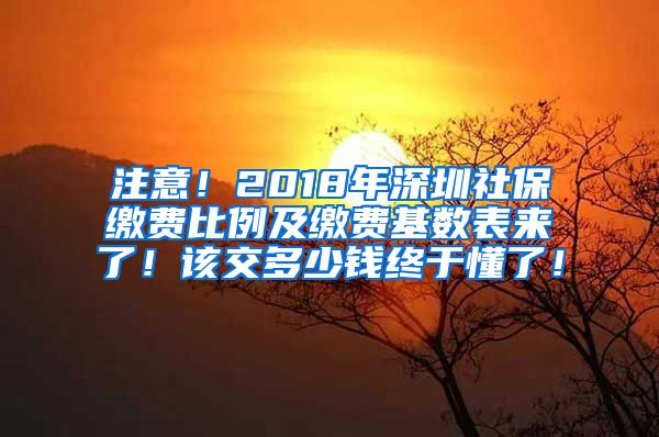 注意！2018年深圳社保缴费比例及缴费基数表来了！该交多少钱终于懂了！