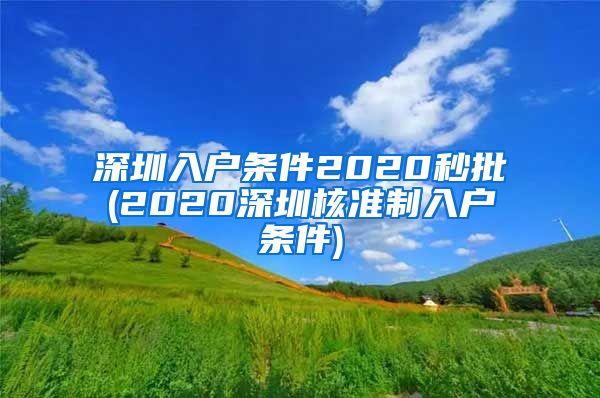 深圳入户条件2020秒批(2020深圳核准制入户条件)