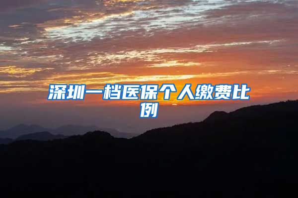 深圳一档医保个人缴费比例