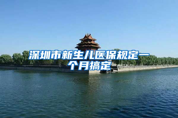 深圳市新生儿医保规定一个月搞定