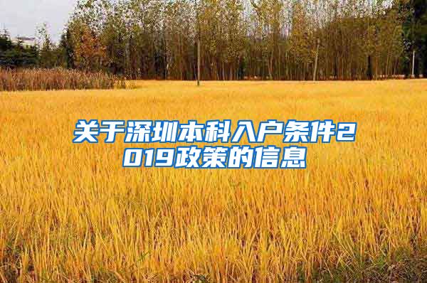 关于深圳本科入户条件2019政策的信息