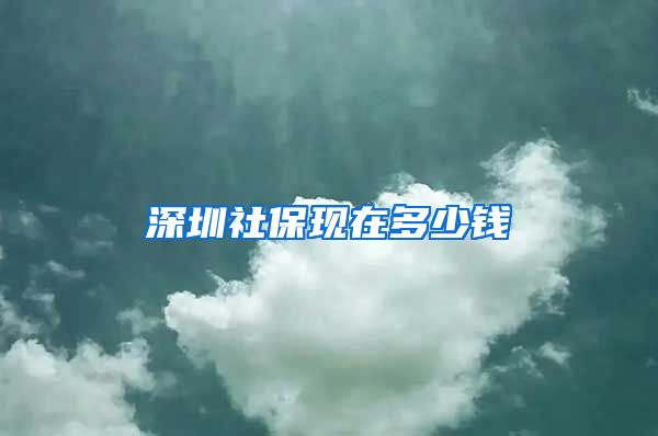 深圳社保现在多少钱