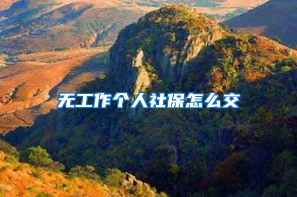 无工作个人社保怎么交