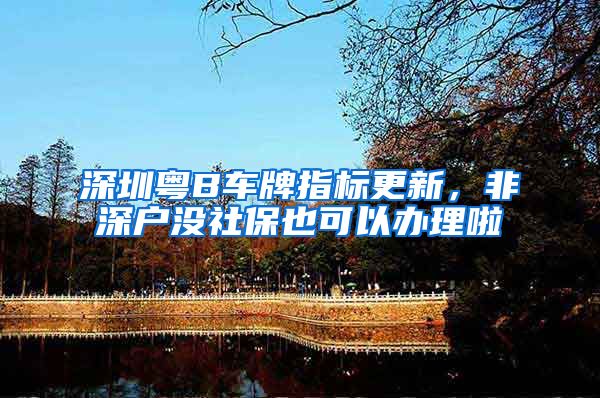 深圳粤B车牌指标更新，非深户没社保也可以办理啦